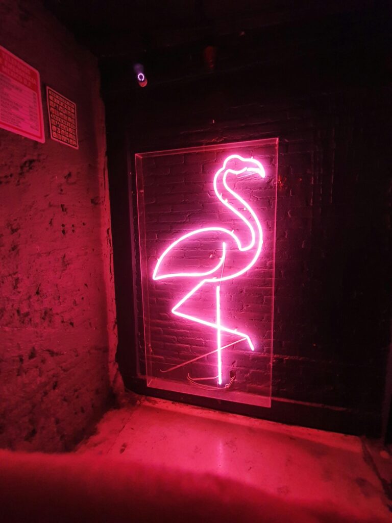 Home A vibrant pink neon flamingo sign illuminates a dark urban environment.